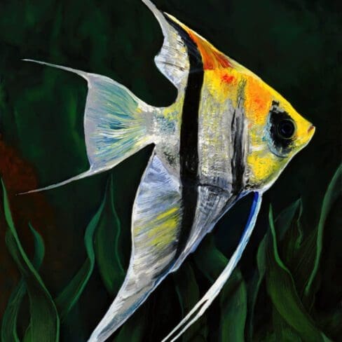 Leveraging my oil and poured acrylic technique, expanding subject to other fish. Several have asked me to try a fresh water Angel fish. The elegance of this fish inspires calmness. A Unique Original Embellished Painting.
