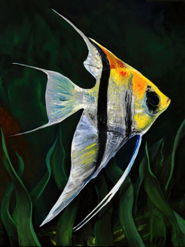 Leveraging my oil and poured acrylic technique, expanding subject to other fish. Several have asked me to try a fresh water Angel fish. The elegance of this fish inspires calmness. A Unique Original Embellished Painting.