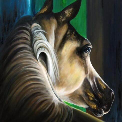 Arabian Show Horse Artworks by Monica in Colorado