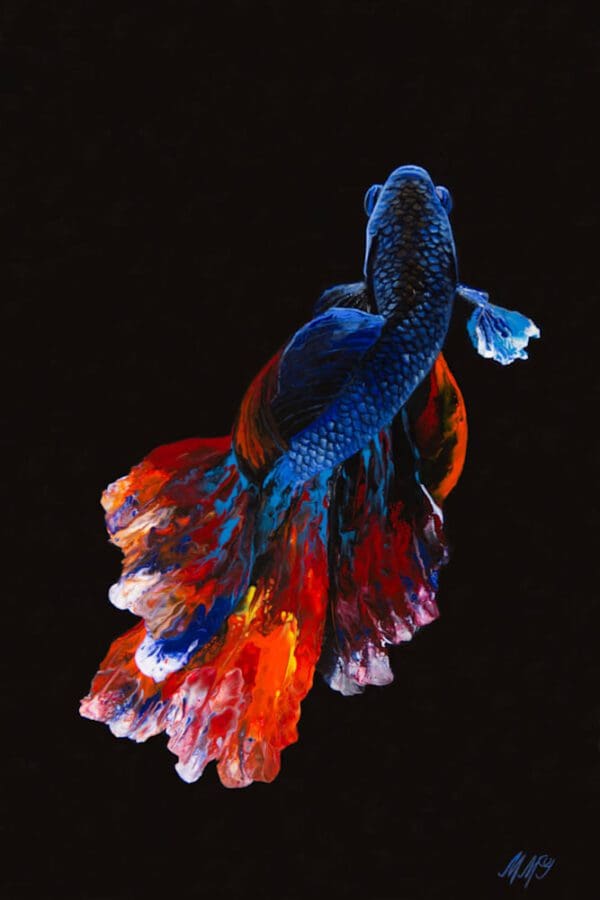 Betta Fish Artworks by MOnica - MMG Studios - Colorado