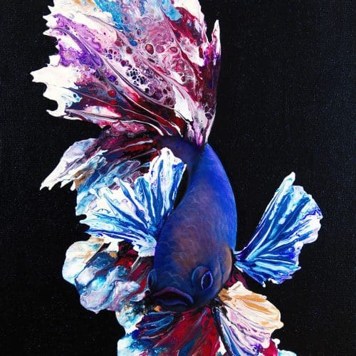 Bronco Betta Fish Art by Monica MMG Arts Studio - Colorado