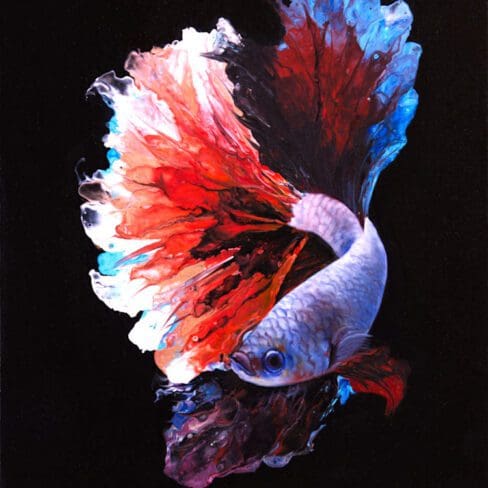 Crowntail Betta Fish Artowork by Monica MMg Art Studio - Colorado