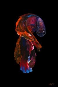 Dragon Betta Fish Artworks by MOnica mMg Studio - Colorado