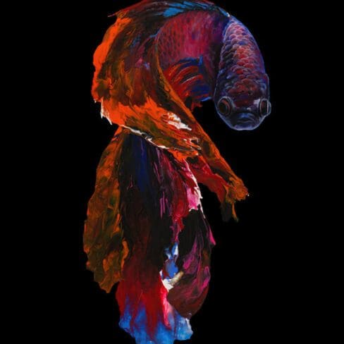 Dragon Betta Fish Artworks by MOnica mMg Studio - Colorado