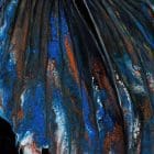 Neptune Betta - Artworks by Monica MMG Art Studio