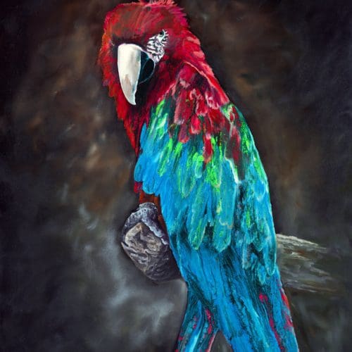 Ode to Scarlet Macaw 2 Artworks by Monica MMG Arts Studio