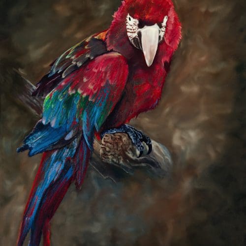 Ode to Scarlet Macaw Artworks by Monica MMG Arts Studio