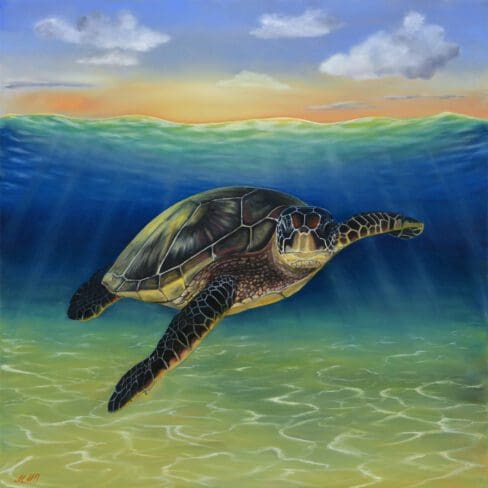 Sea Turtle Oil Artwork paint by Monica MMg Art Studio in Colorado