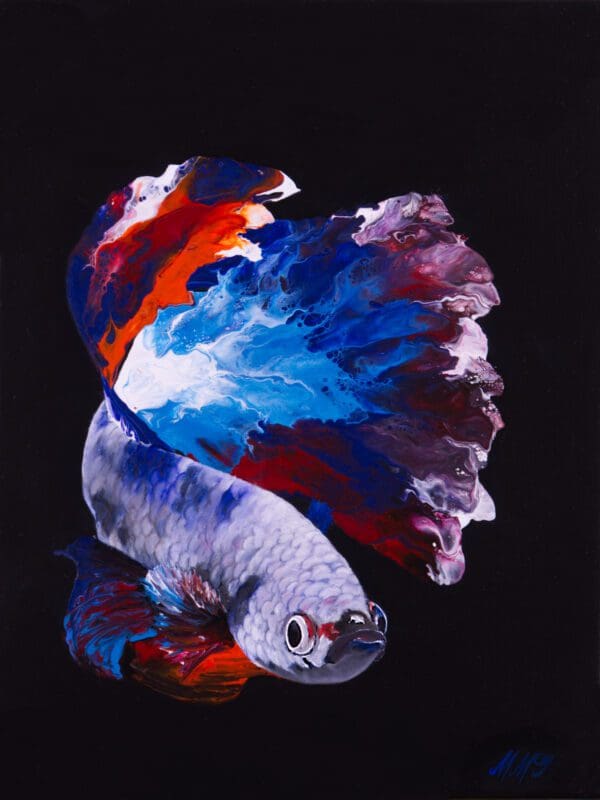 Siamese Fighting Beta Fish artworks by monica mmg art studio Colorado