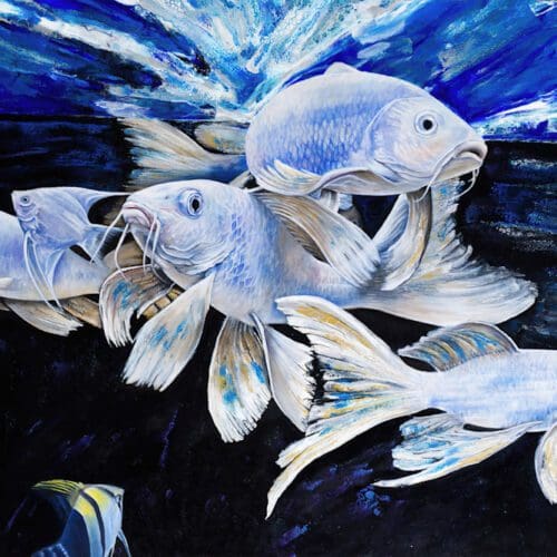 Fish Shoal of light artowrk in Denver Colorado buy online 1