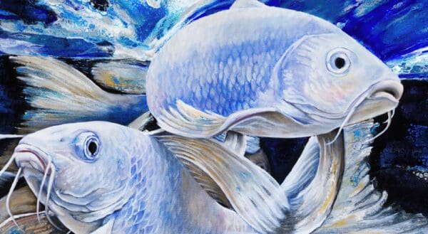 Fish Shoal of light artowrk in Denver Colorado buy online 1