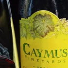 Detailed view of the Caymus Vineyards Cabernet Sauvignon label, highlighting the artistic rendering of the vineyard's emblem in Monica Marquez Gatica's hybrid fluid realism style.