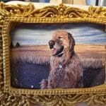 golden-framed cookie with two dogs enjoying the breeze from a car window.